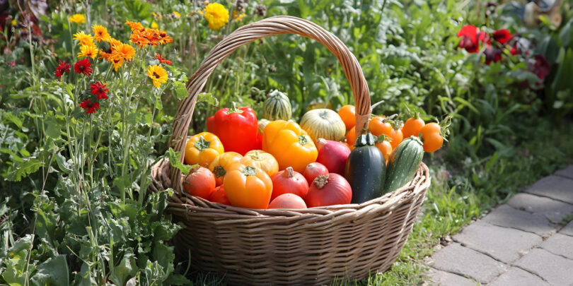 Preserving Summer’s Bounty: Home Canning Techniques